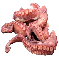 Calamari