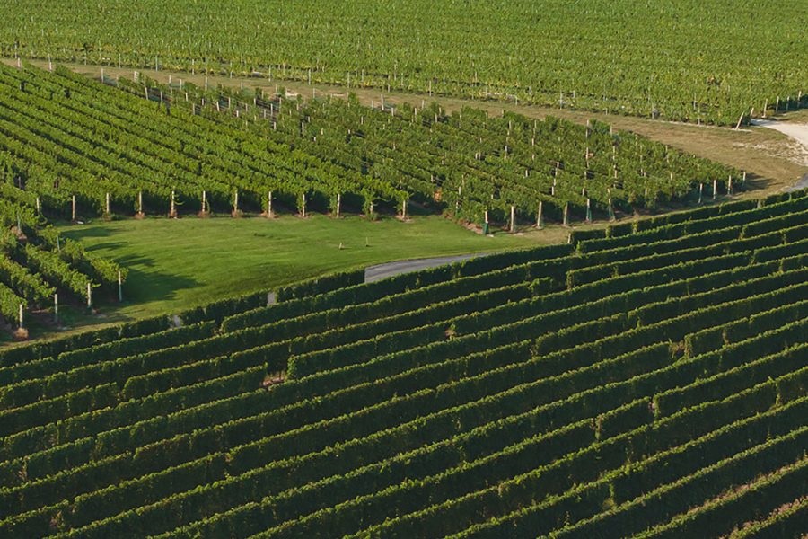 Chateau Grand Traverse