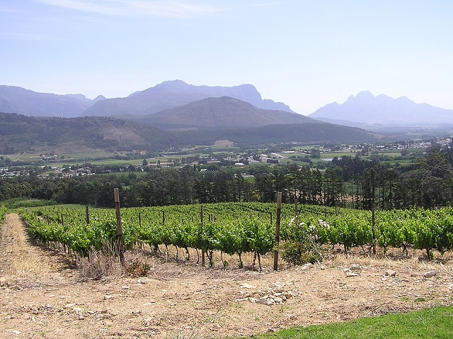 Paarl