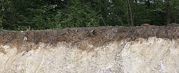 Soil on Limestone