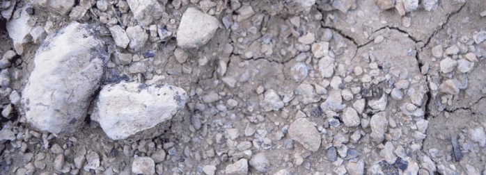 Terres Blanches Sancerre