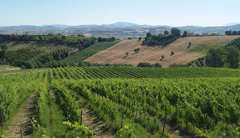 Creative Commons 3.0 Marche