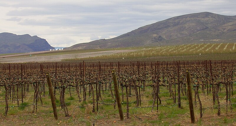 The Wahluke Slope AVA